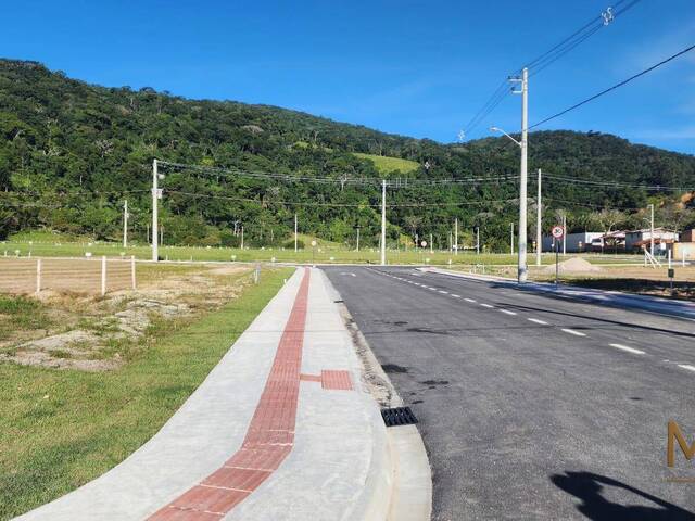 Terreno para Venda em Porto Belo - 5