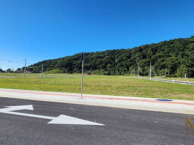 Terreno para Venda em Porto Belo - 4